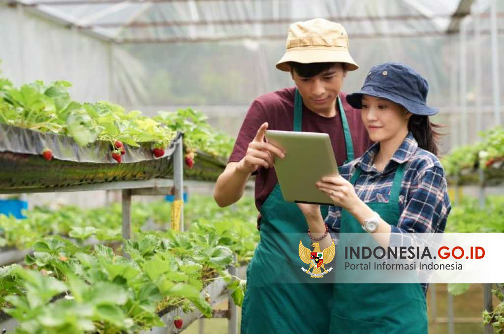 Bidang Teknologi yang Dikuasai Anak Muda Indonesia